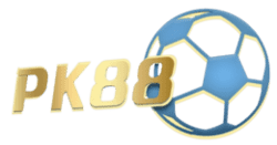 international sudoku day
